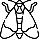 Termonebulização