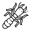 Descupinização